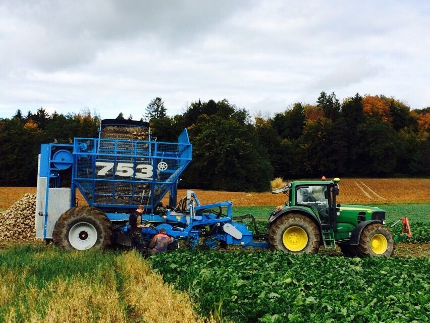 Domaine au Village Service SA