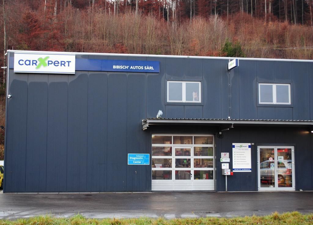 Bibisch'Autos - garage Carxpert - Marly