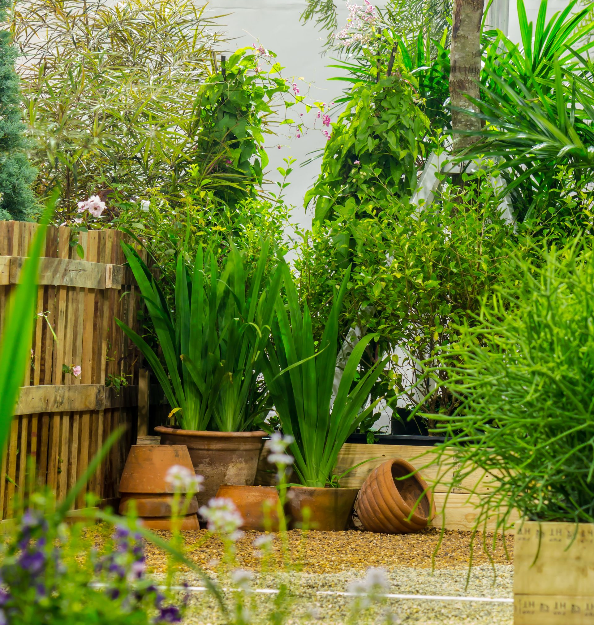 Une scène de jardin luxuriante avec des plantes en pot, une clôture en bois et différentes nuances de feuillage vert.