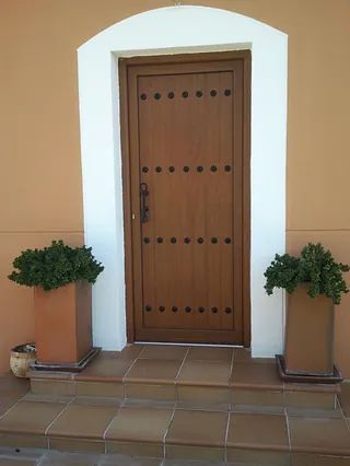 Una puerta de madera con dos plantas en macetas delante de ella.