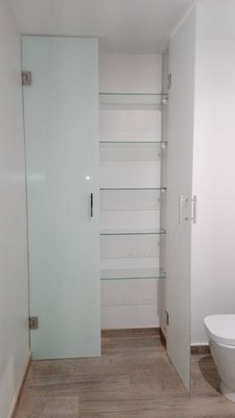 Un baño con puerta de cristal, estantes y un inodoro.