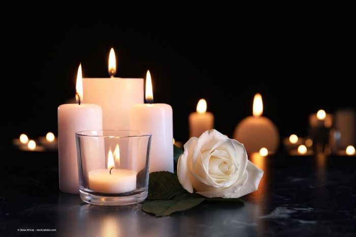 Weiße Rose umgeben von weißen Kerzen