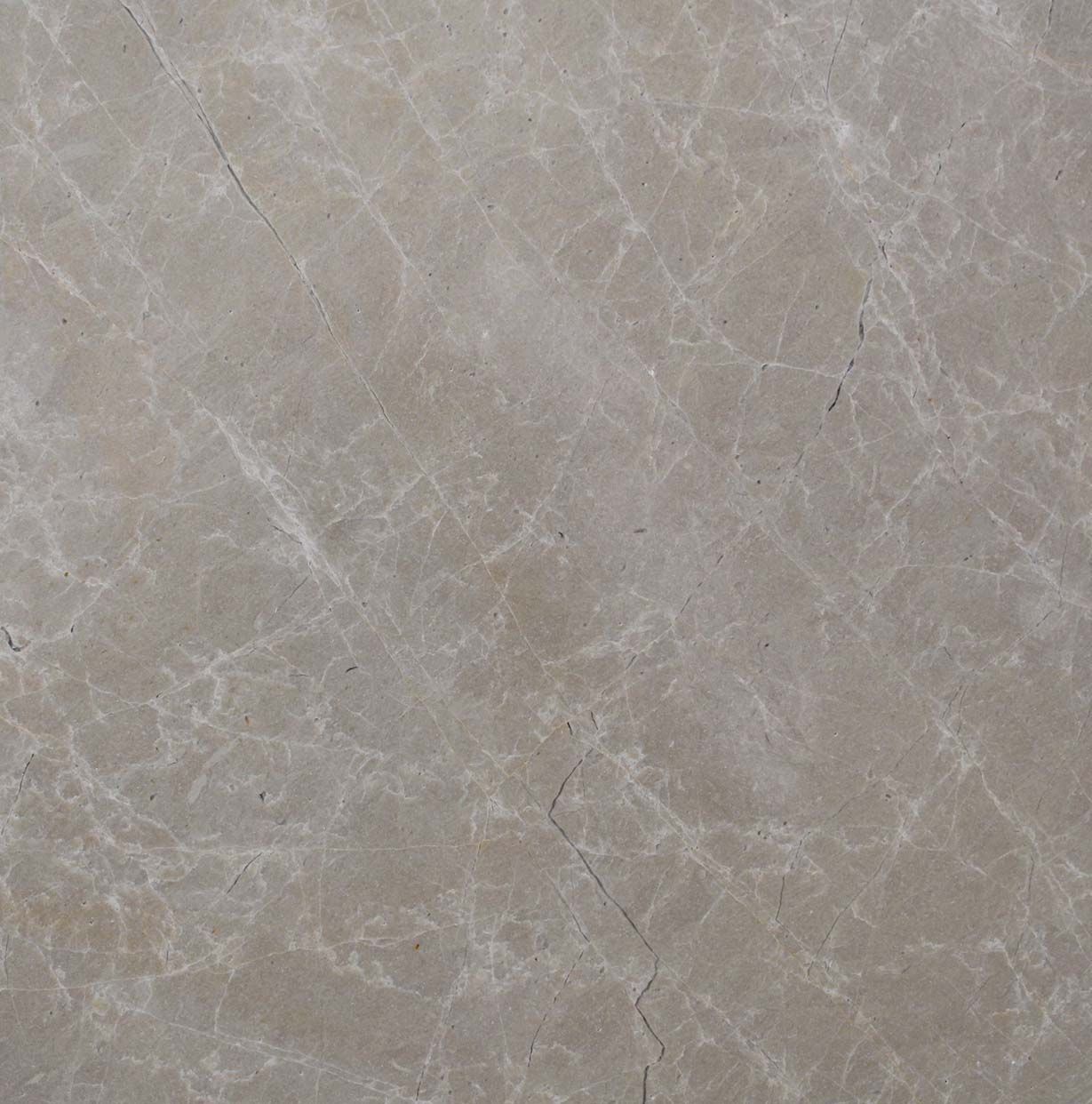 Un primer plano de un azulejo con textura de mármol.