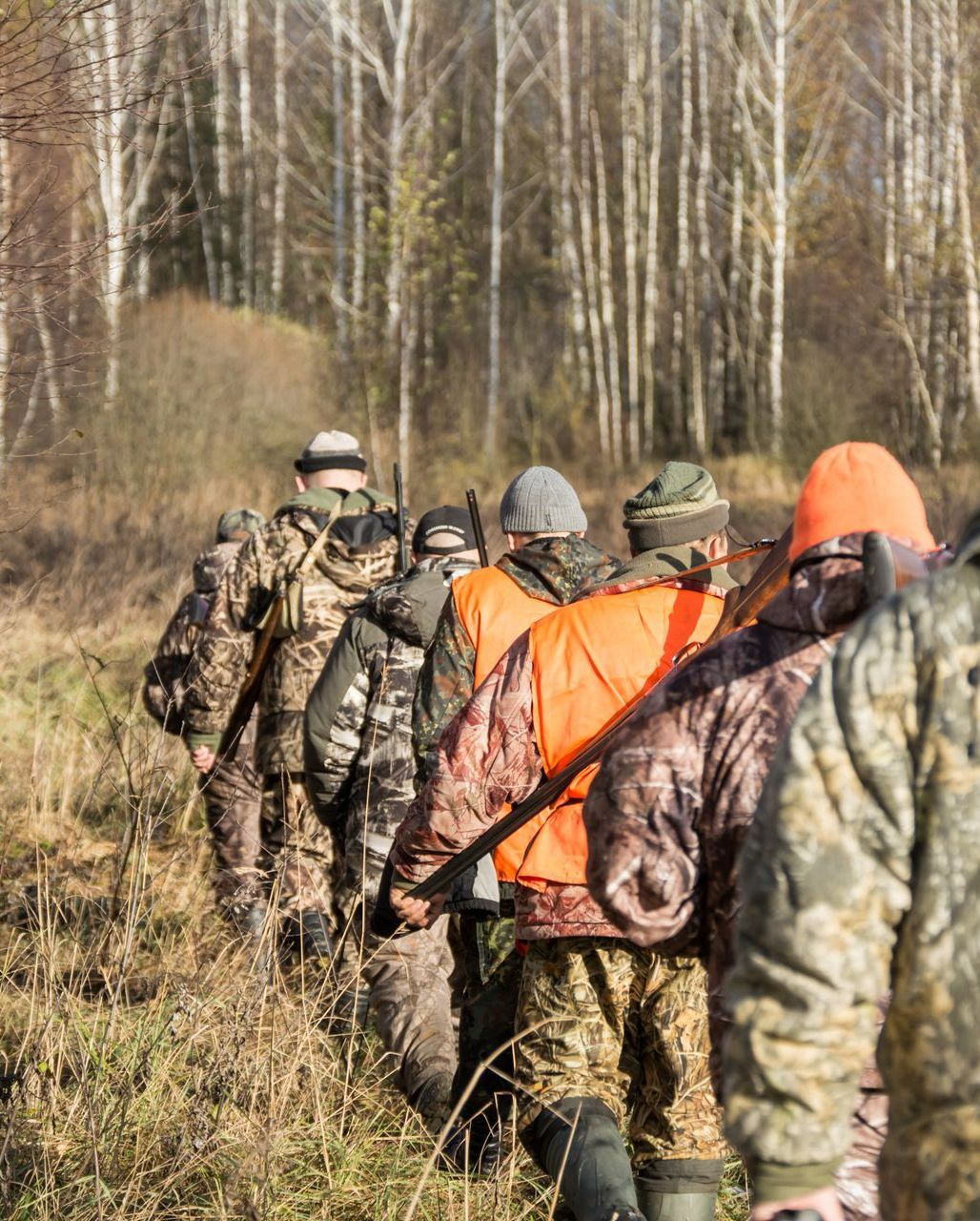 File de chasseurs