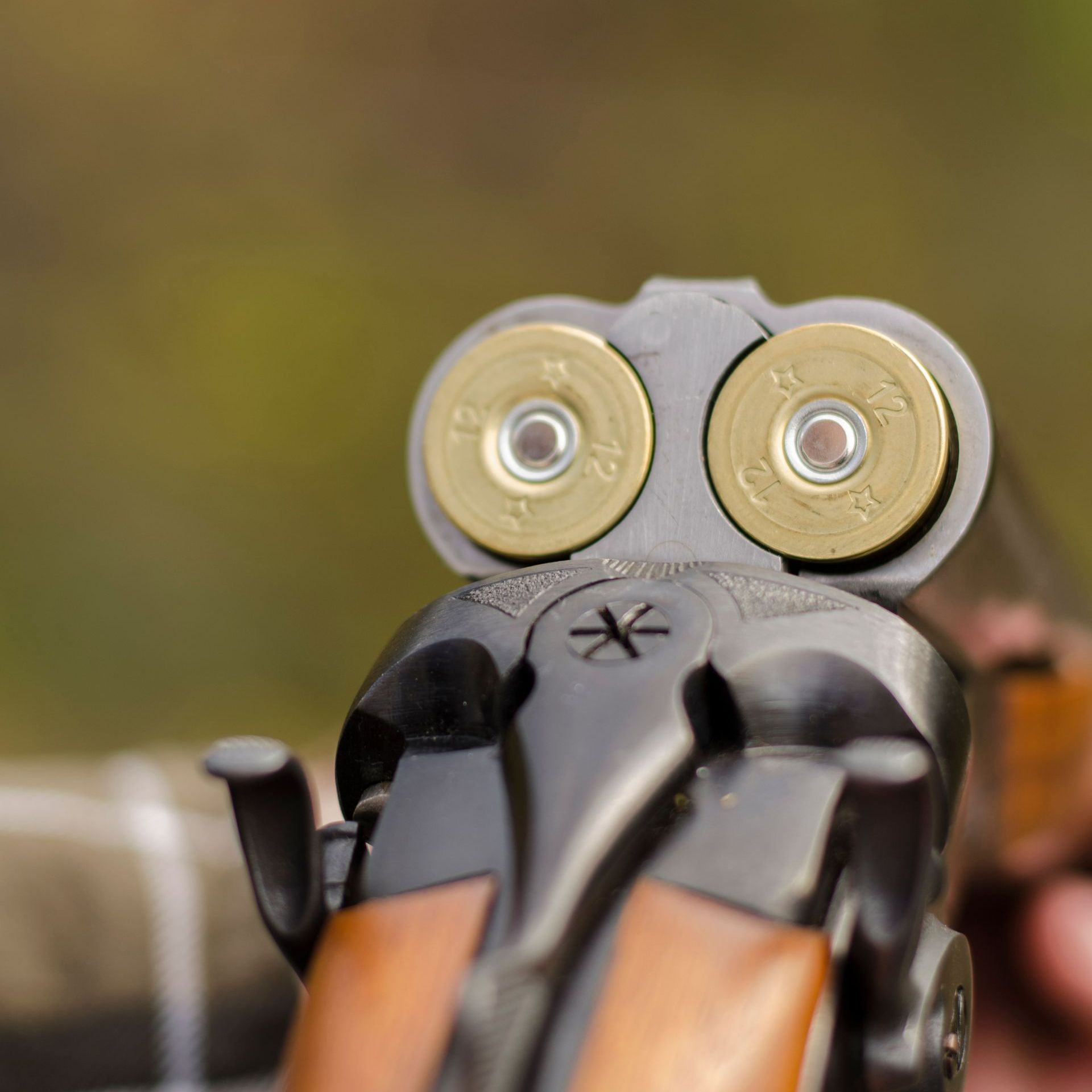 Fusil chargé