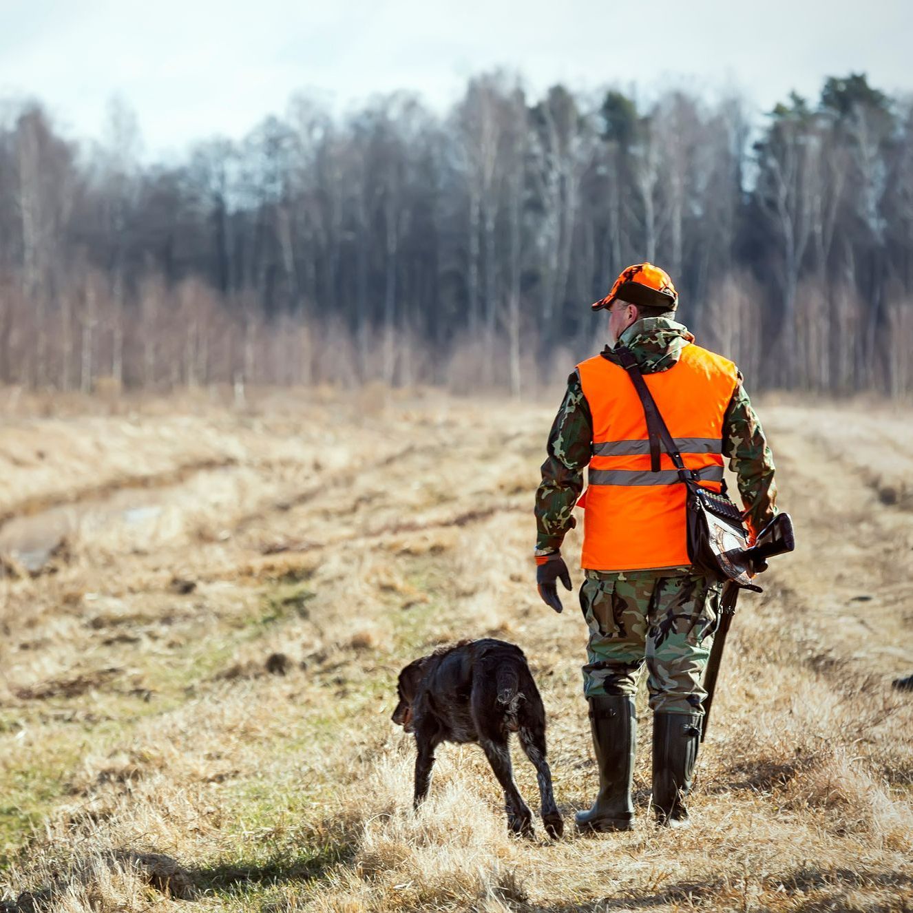 Chasseur portant une veste orange de dos avec son chien