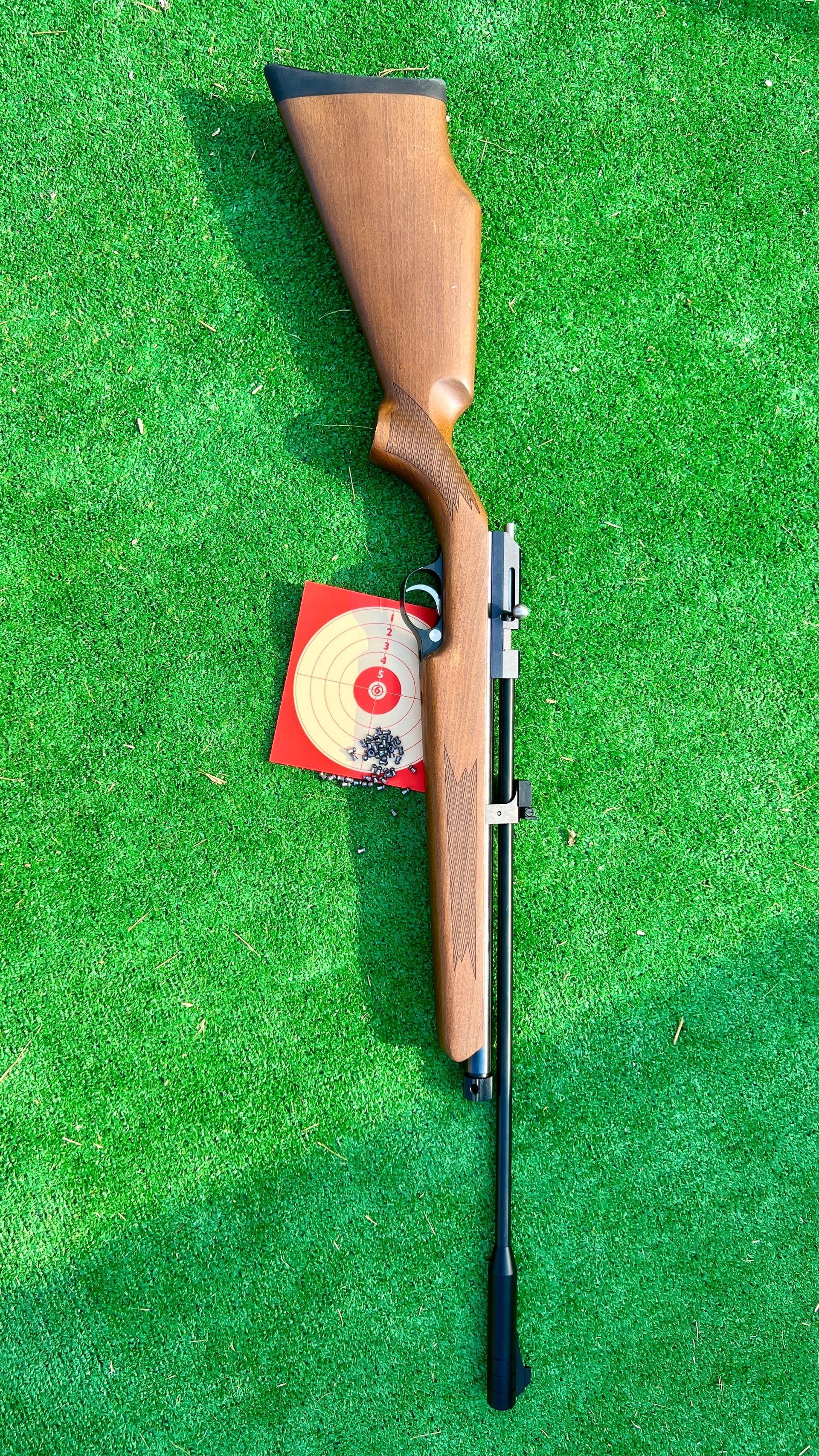 Carabine à plomb, cible et plombs