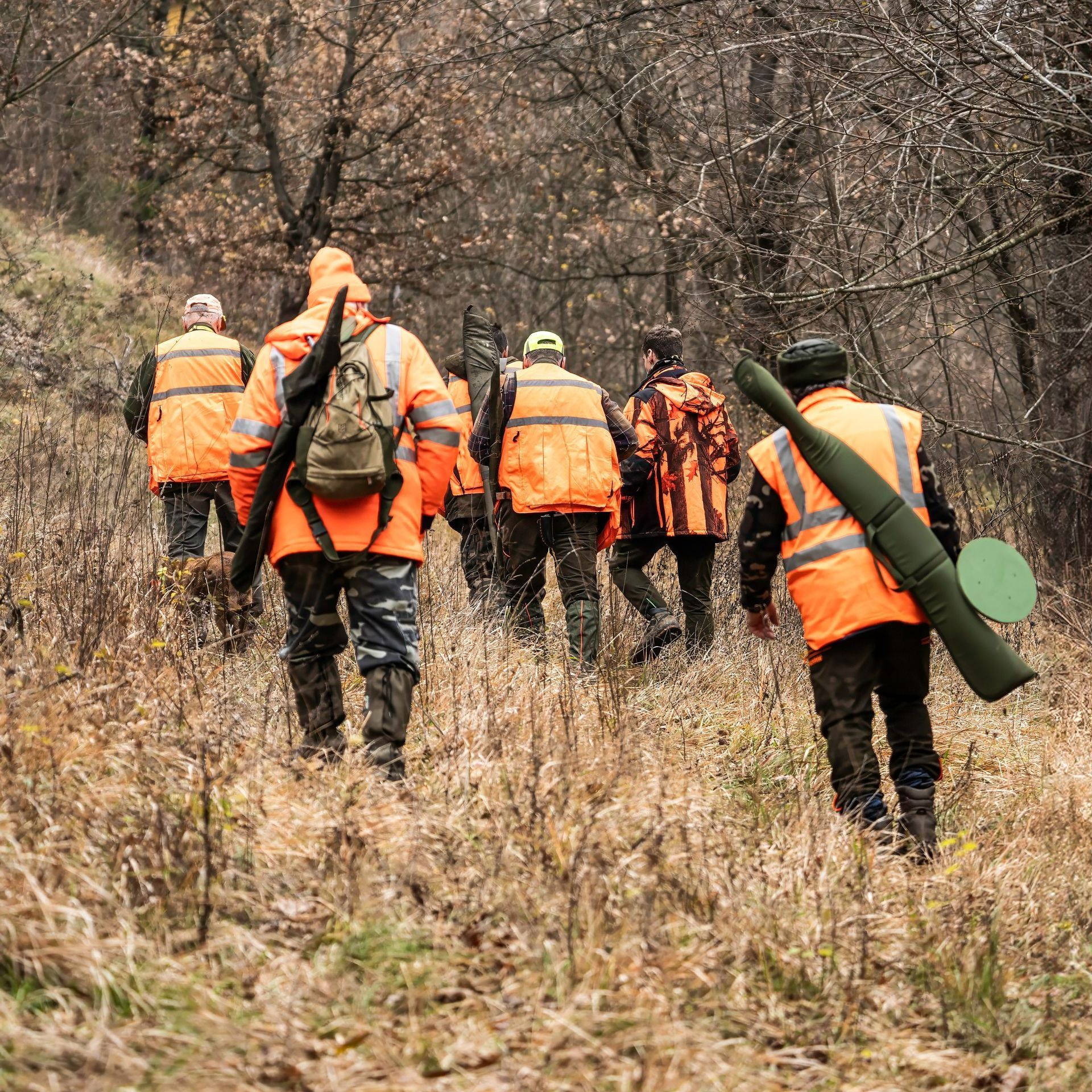 Chasseurs de dos portant des vestes orange