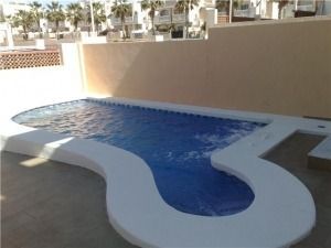 Una pequeña piscina rodeada de un muro y palmeras.