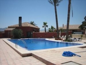 Una gran piscina con palmeras al fondo.