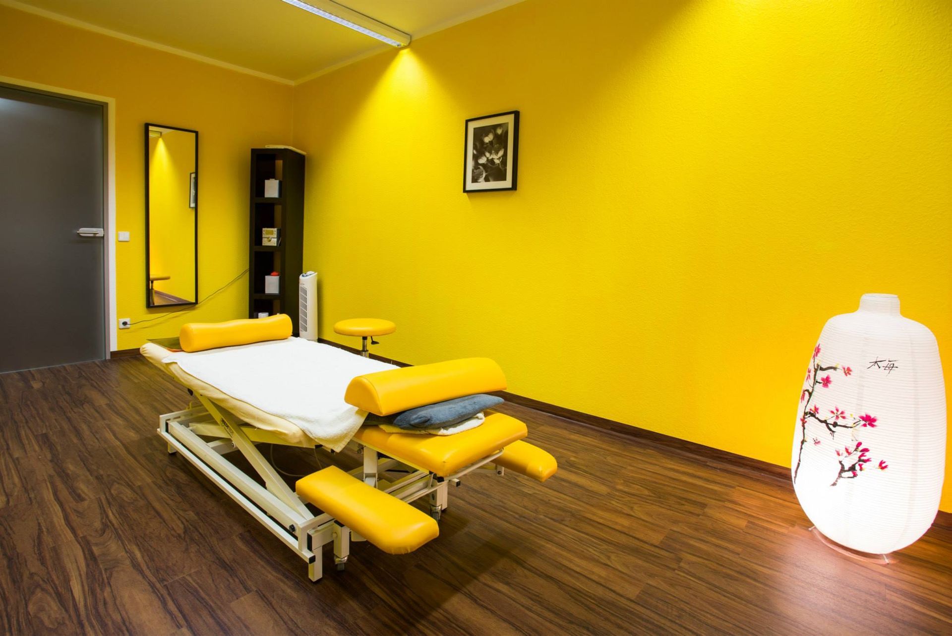 Physiotherapie, Chiropractic, Dresden