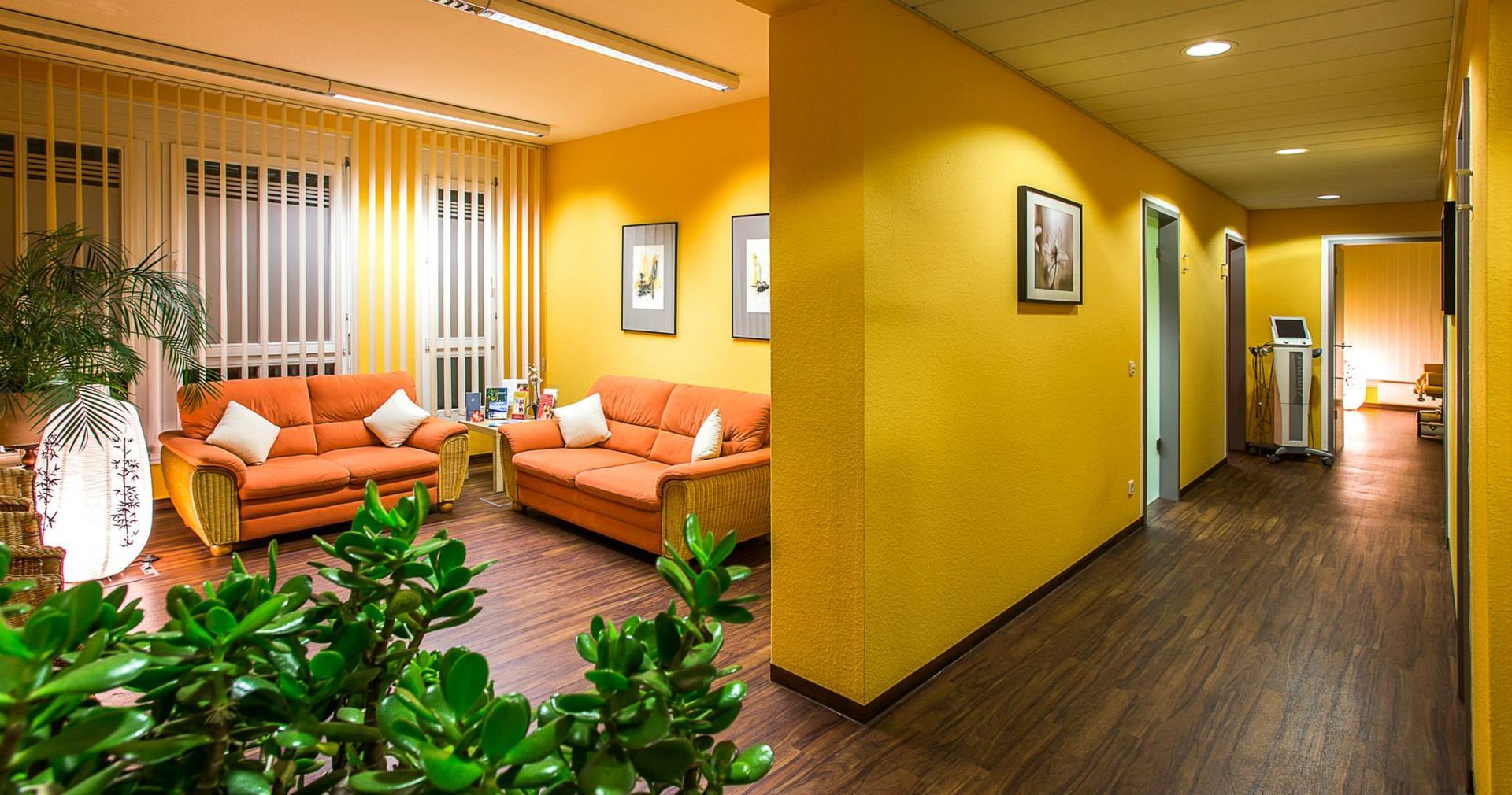 Physiotherapie, Chiropractic, Dresden