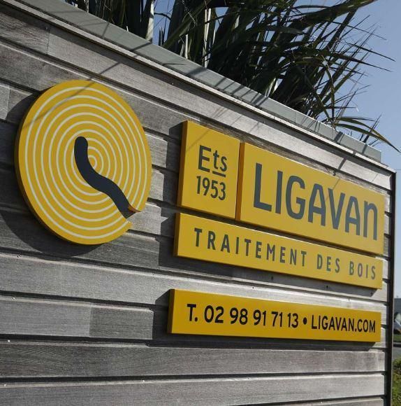 Logo LIGAVAN