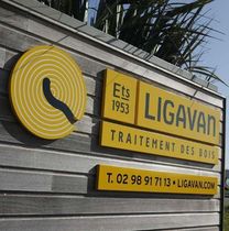 Logo Ligavan