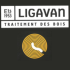 Logo Ligavan