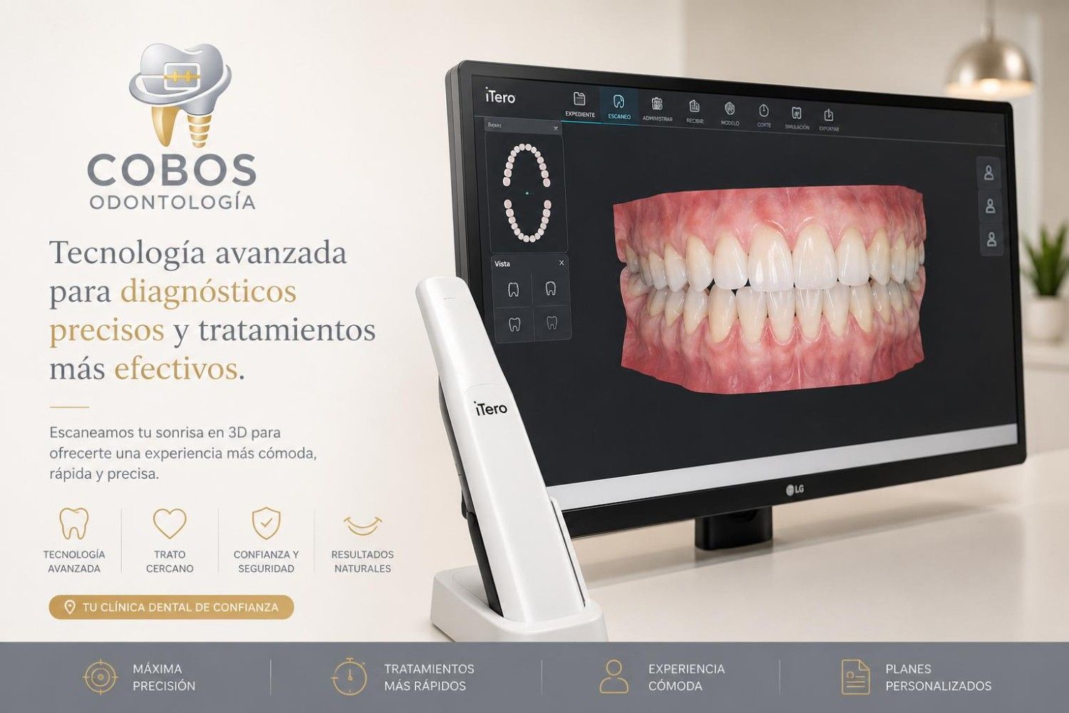 Dentista sosteniendo un modelo de dientes y encías en una clínica.
