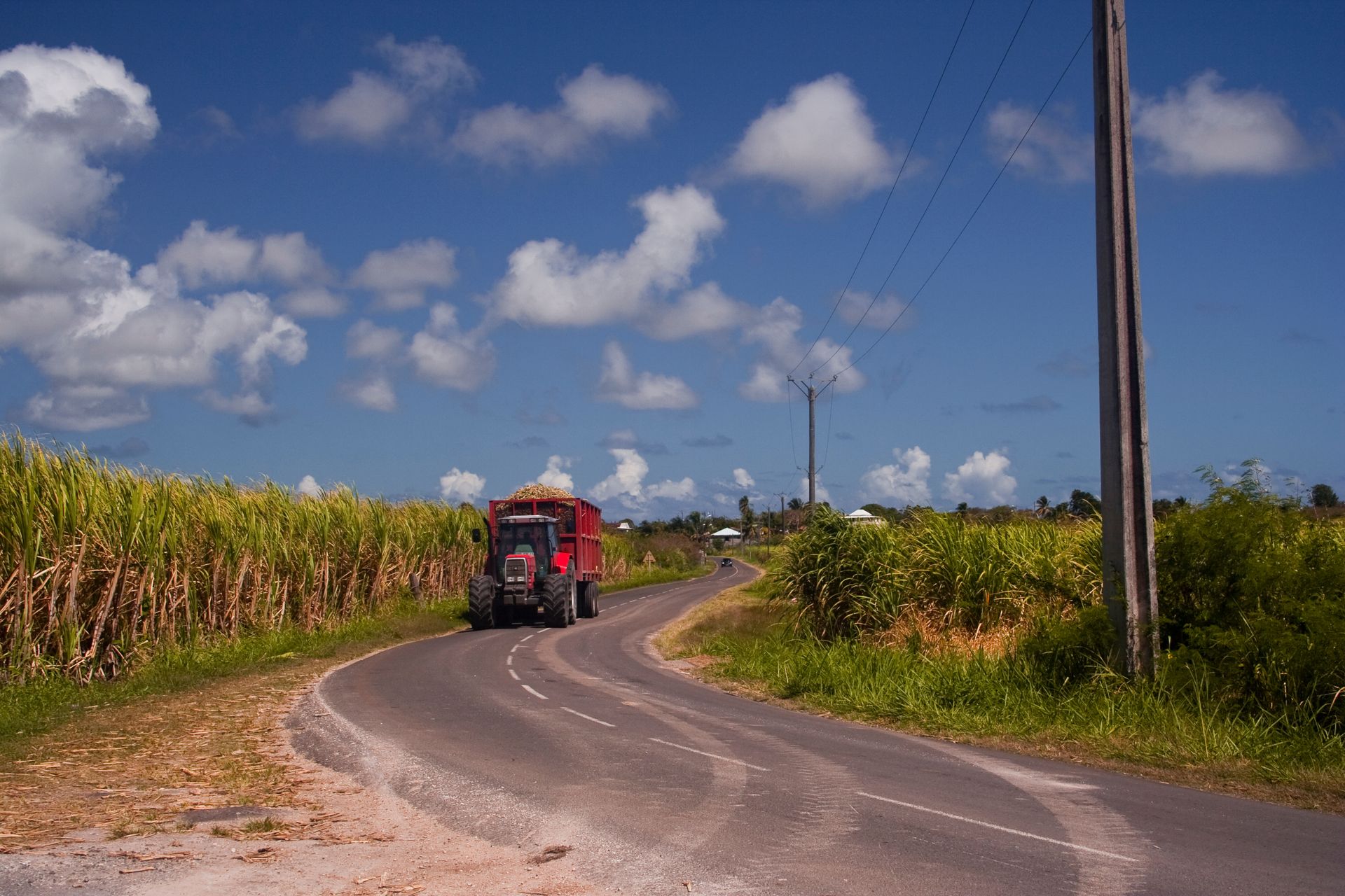 Tracteur rouge sur une route de campagne sinueuse, bordée de champs de maïs, sous un ciel bleu parsemé de nuages.