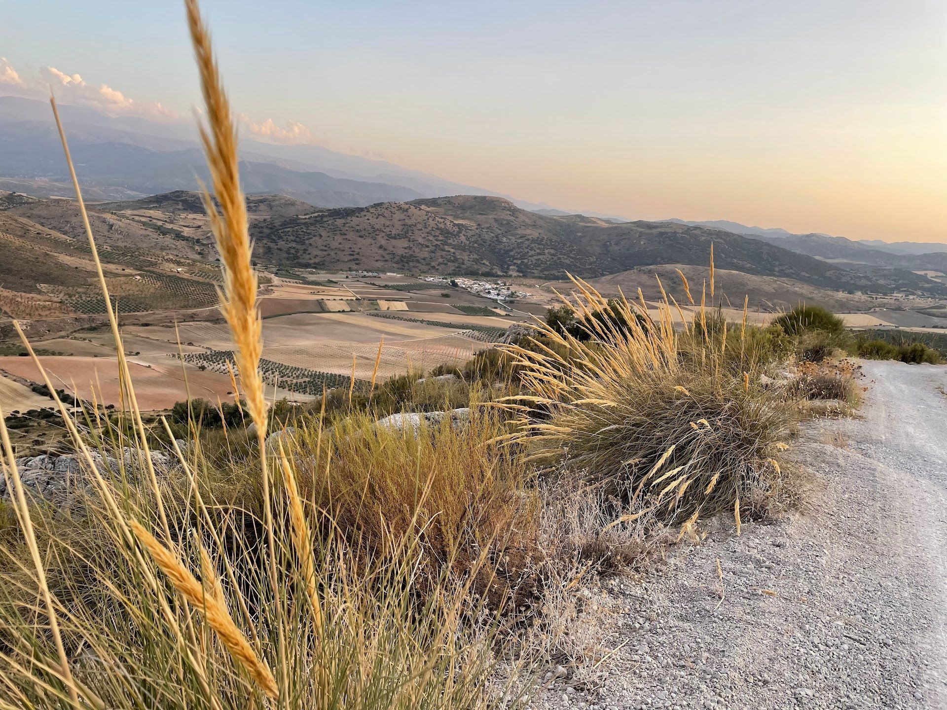 Un camino de tierra que atraviesa una ladera cubierta de hierba con montañas al fondo.