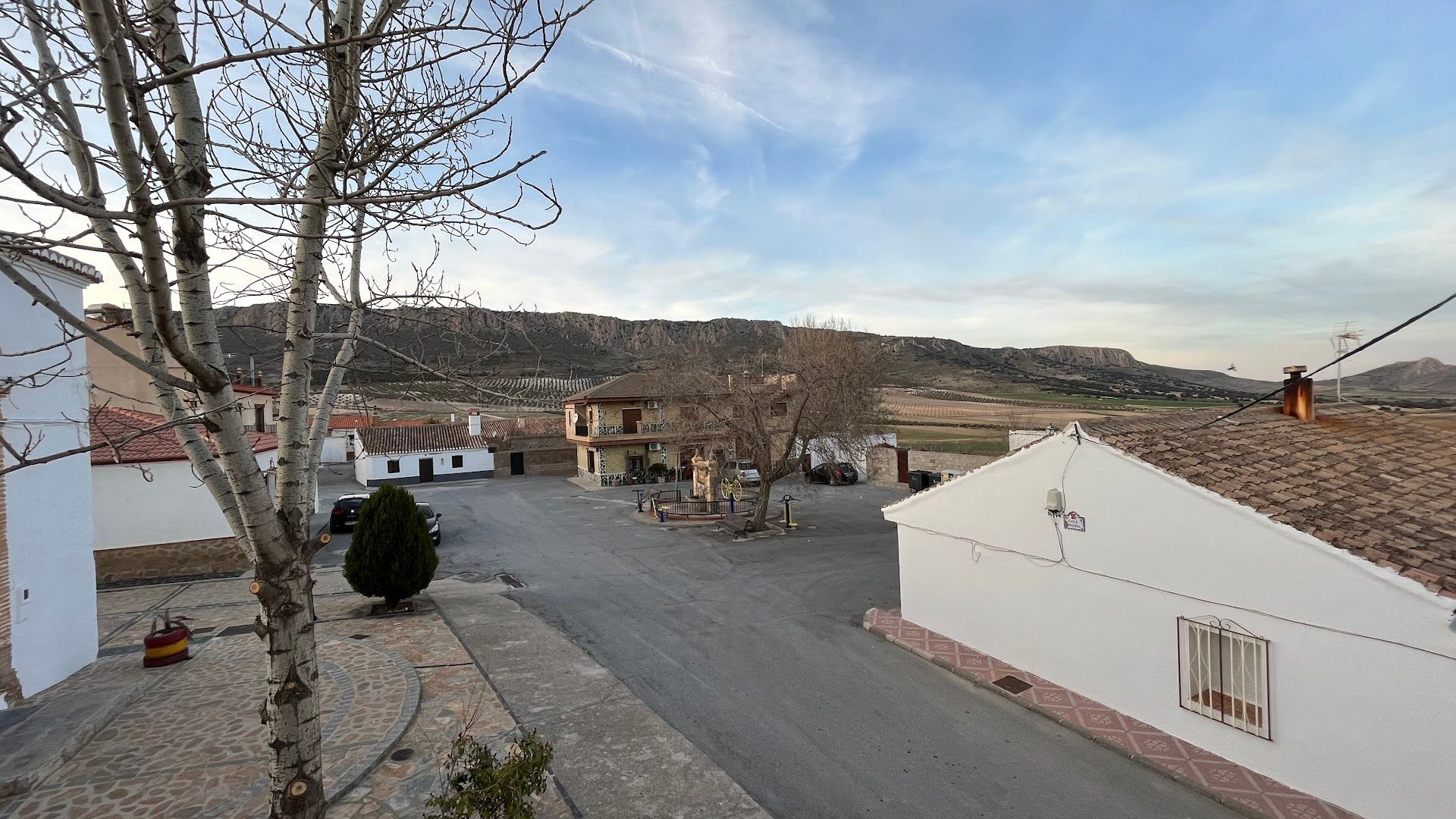 Un edificio blanco con un árbol delante.