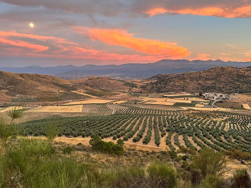 Una puesta de sol sobre un exuberante campo verde con montañas al fondo.