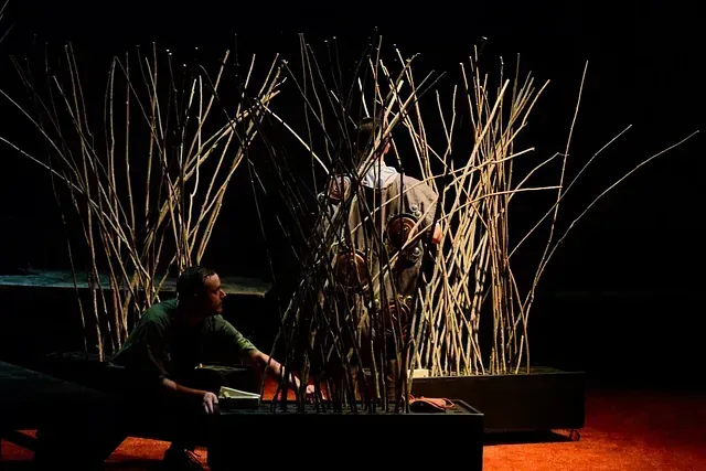 Un hombre está parado frente a un montón de ramas en un escenario.