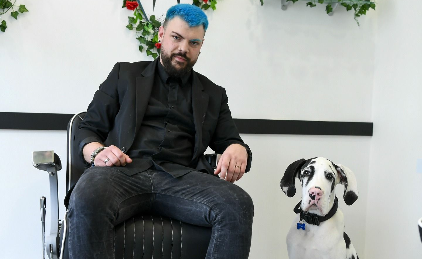Un homme aux cheveux bleus et son dogue allemand sont assis dans un fauteuil de barbier. Intérieur lumineux à décor floral.