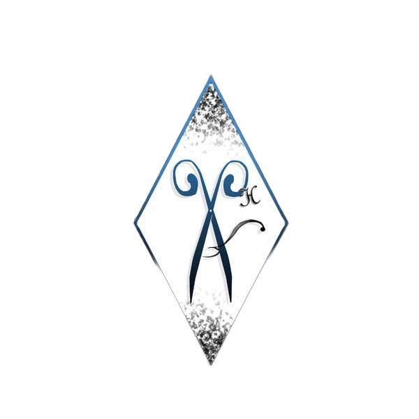 Vers la page d'accueil Logo de l'entreprise A.X.L'Hair