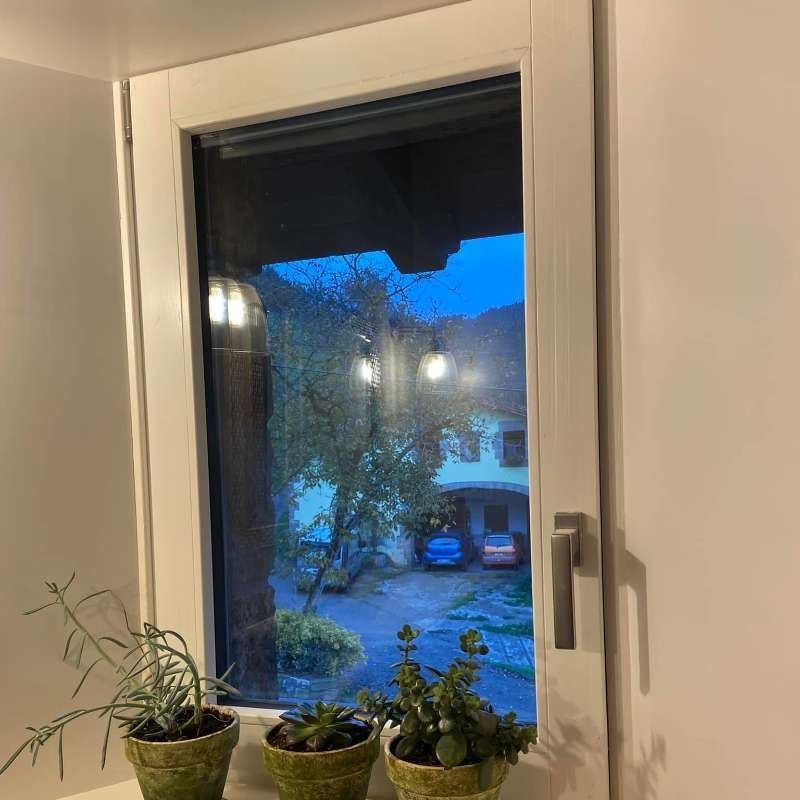 Dos plantas en macetas están sentadas frente a una ventana.