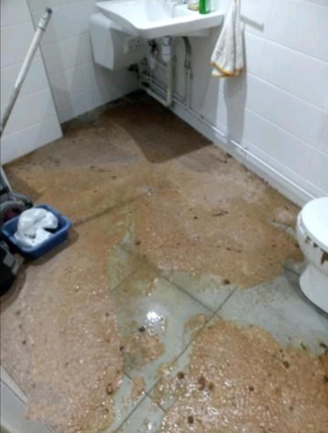 Salle de bain inondée, eau boueuse stagnante autour du lavabo et des toilettes.