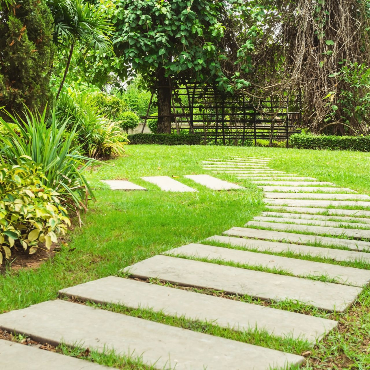 Un chemin de pierre serpente à travers un jardin verdoyant luxuriant, planté d'arbres et d'arbustes.