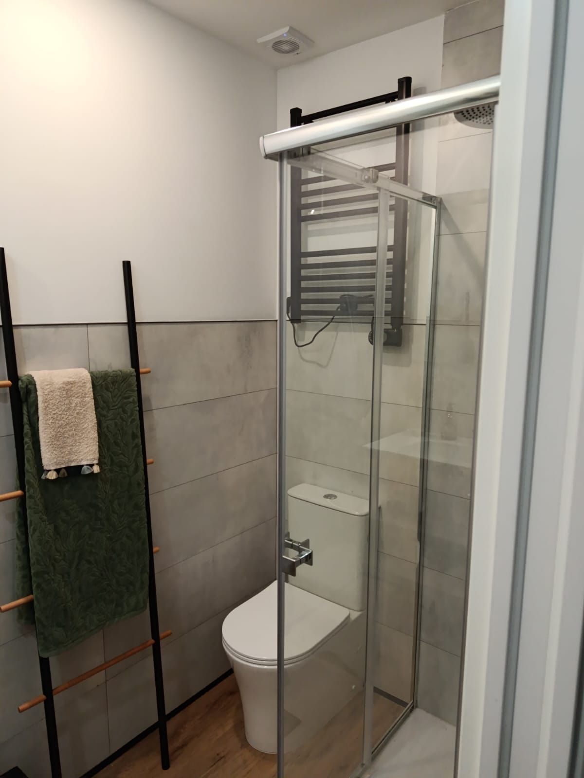 Pequeño baño con inodoro y puerta de ducha de cristal, toallero y porta toallas tipo escalera.