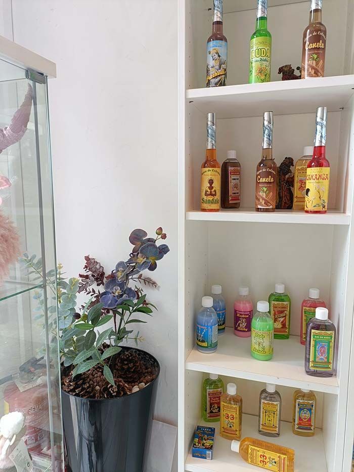 Un estante lleno de frascos de perfume y una planta en maceta.