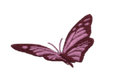 icône papillon