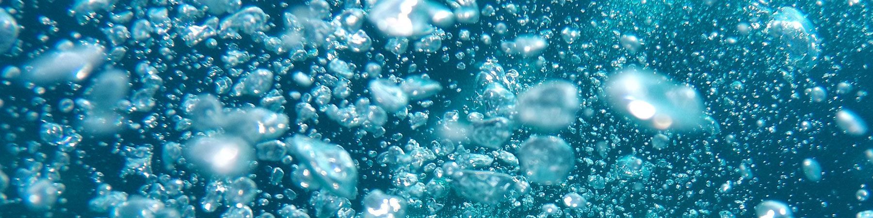 Im Wasser schwimmen viele Blasen.