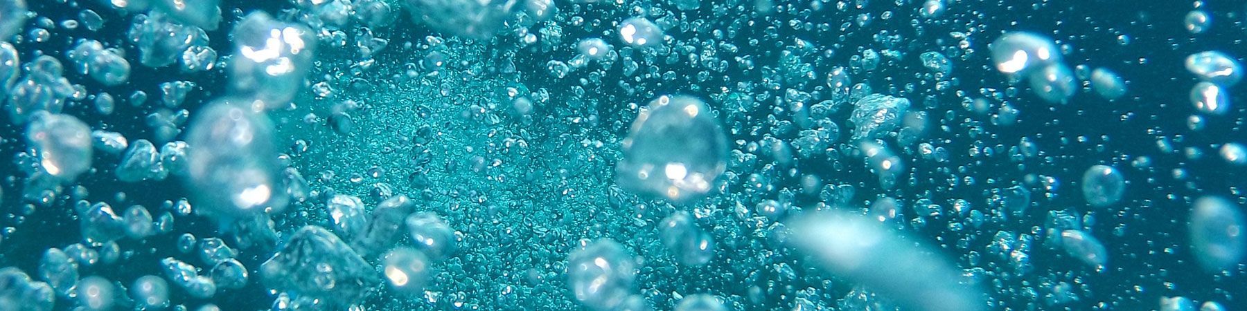 Im Wasser schwimmen viele Blasen.