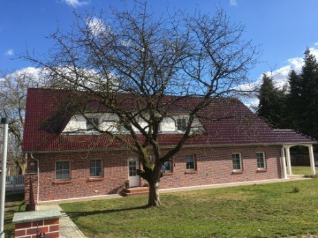 Neubau Einfamilienhaus