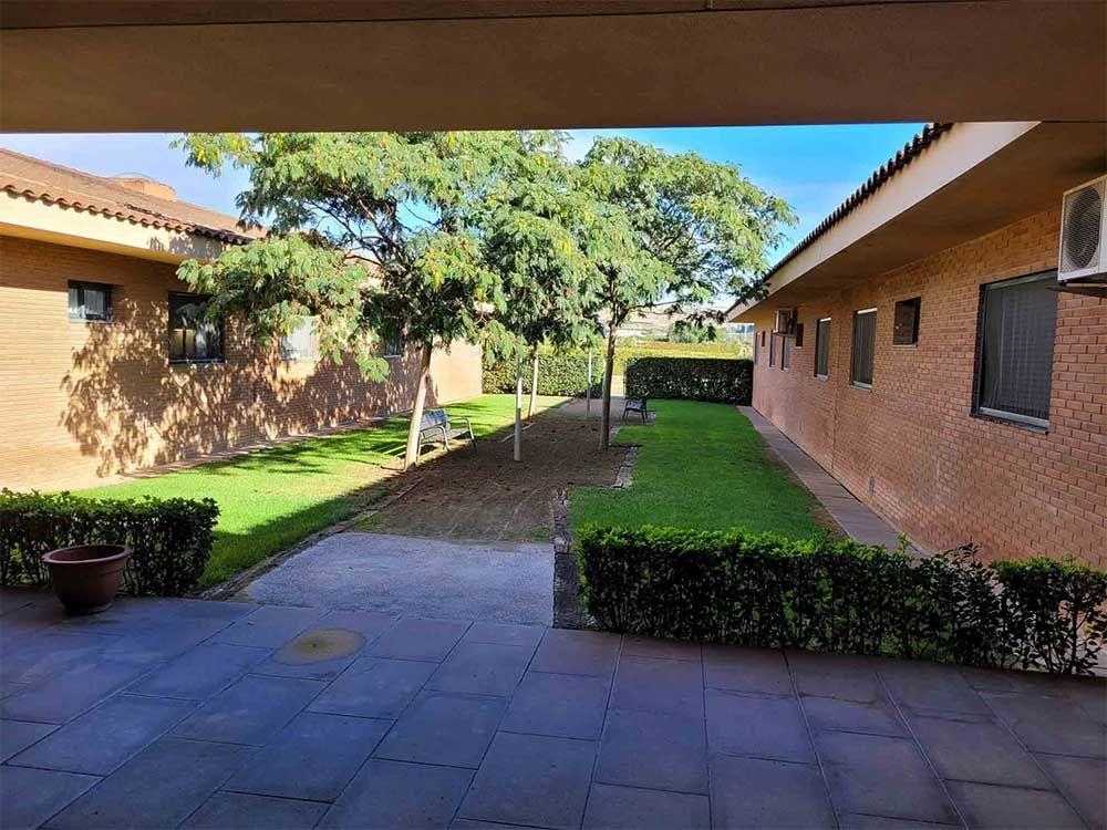 Vista d'un pati entre dos edificis de maó amb una petita gespa, arbres i cel blau.
