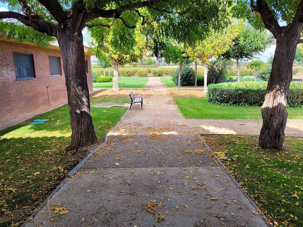 Camí a través d'un parc vorejat d'arbres, que porta a un banc; herba verda, fulles de tardor i un edifici de maó.