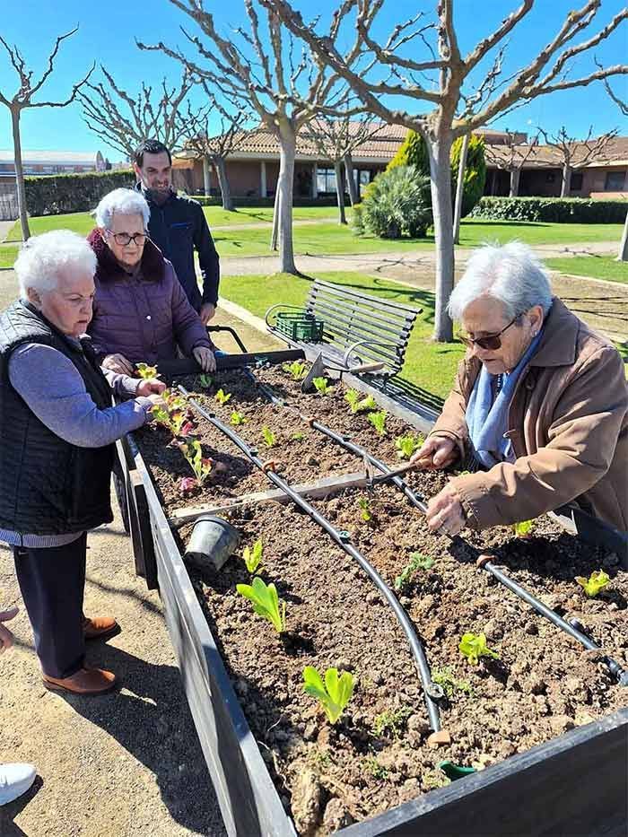 Personas mayores cuidando un jardín al aire libre; un hombre observa.