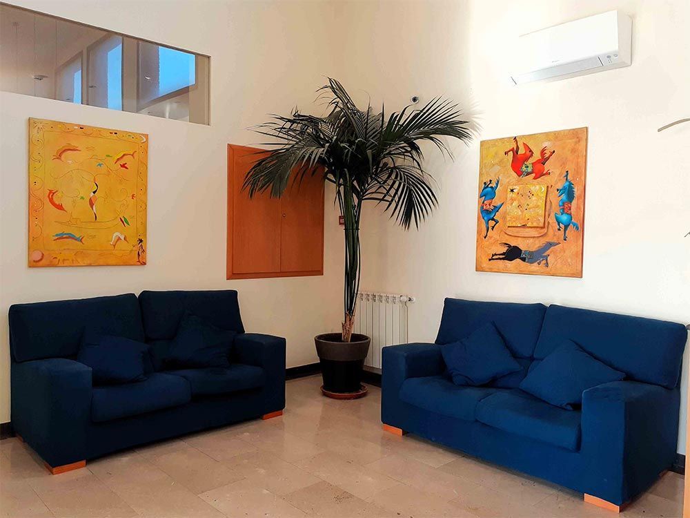 Dos sofàs blaus es troben un davant de l'altre a prop d'una palmera en test, amb obres d'art a les parets de color crema.