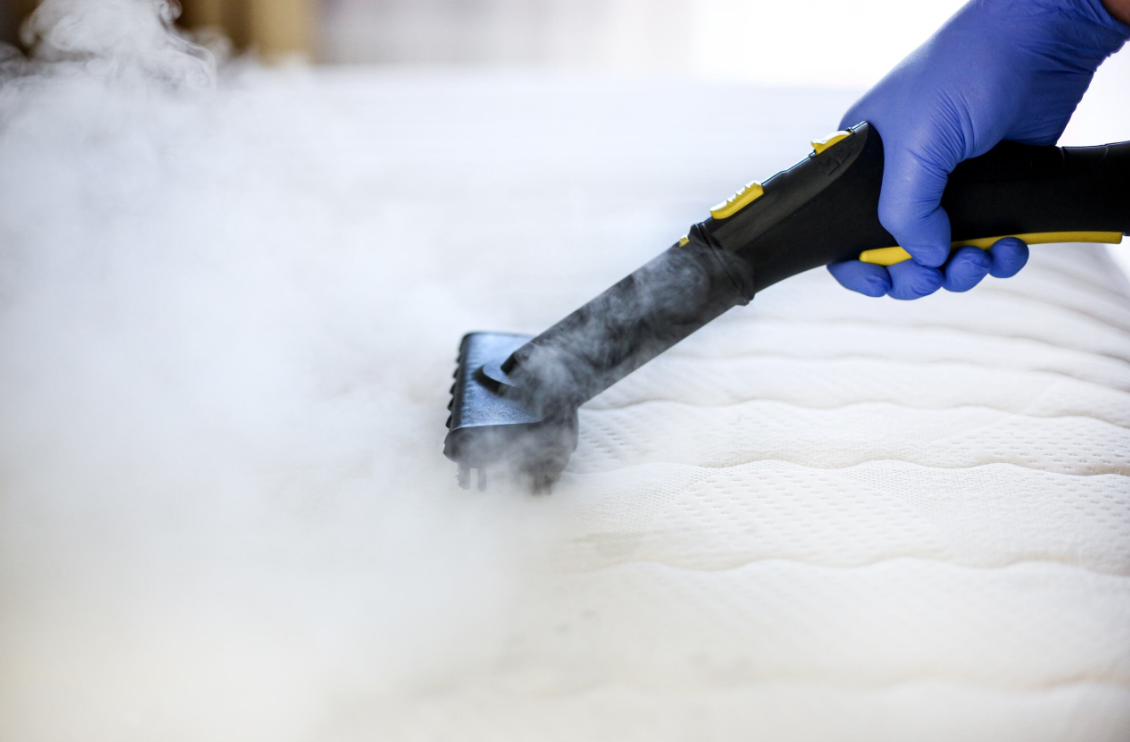 Limpieza a vapor de muebles y coches