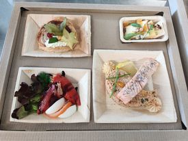 Plateau-repas avec du poisson et une salade de tomate