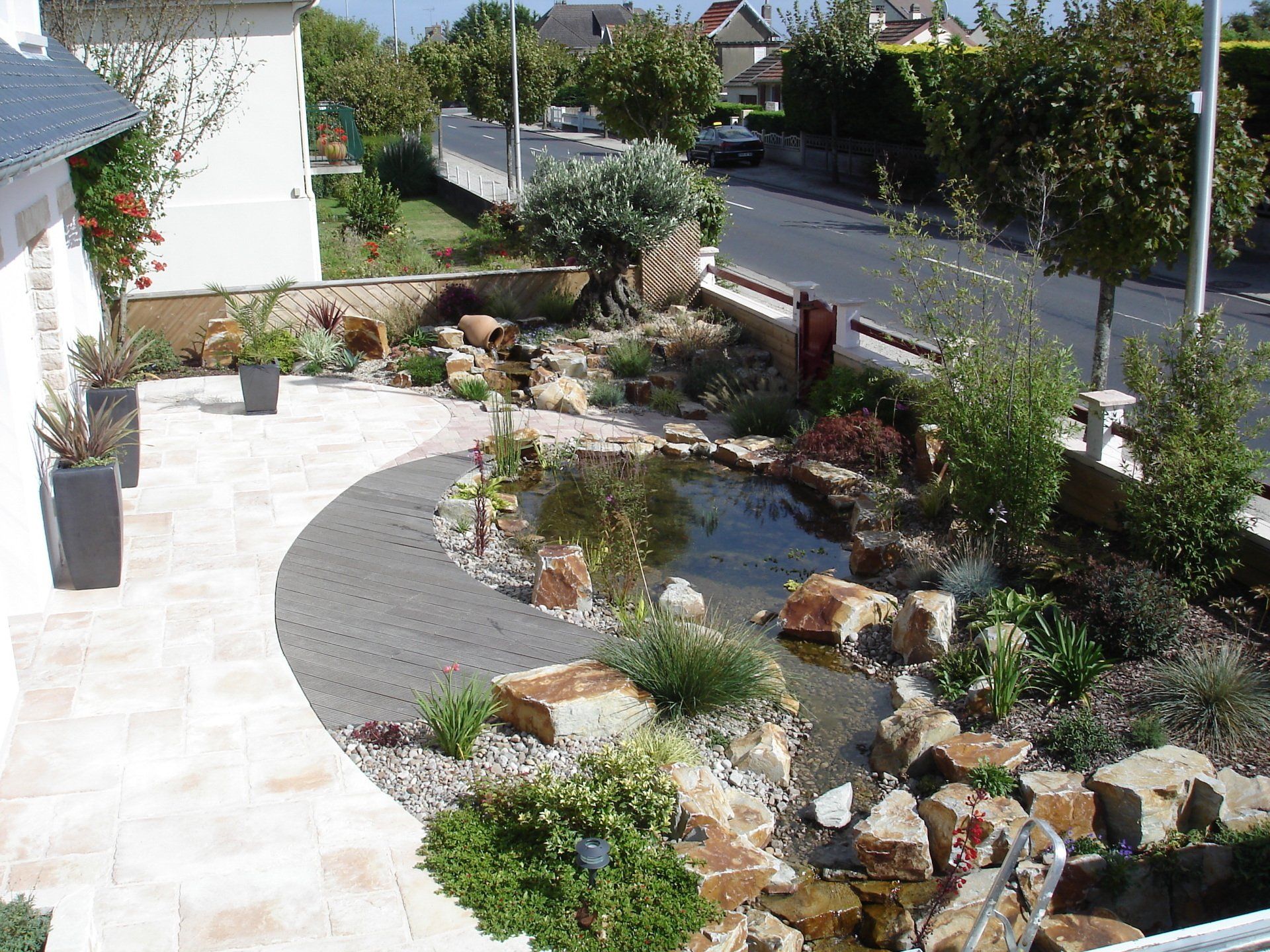 bassin et plantes aquatiques