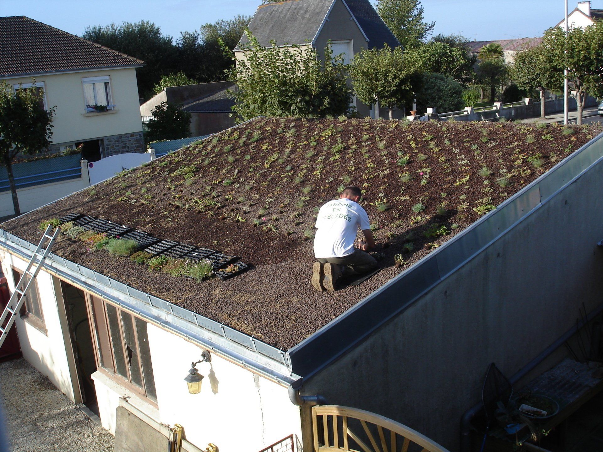 Réalisation d'un toit vert
