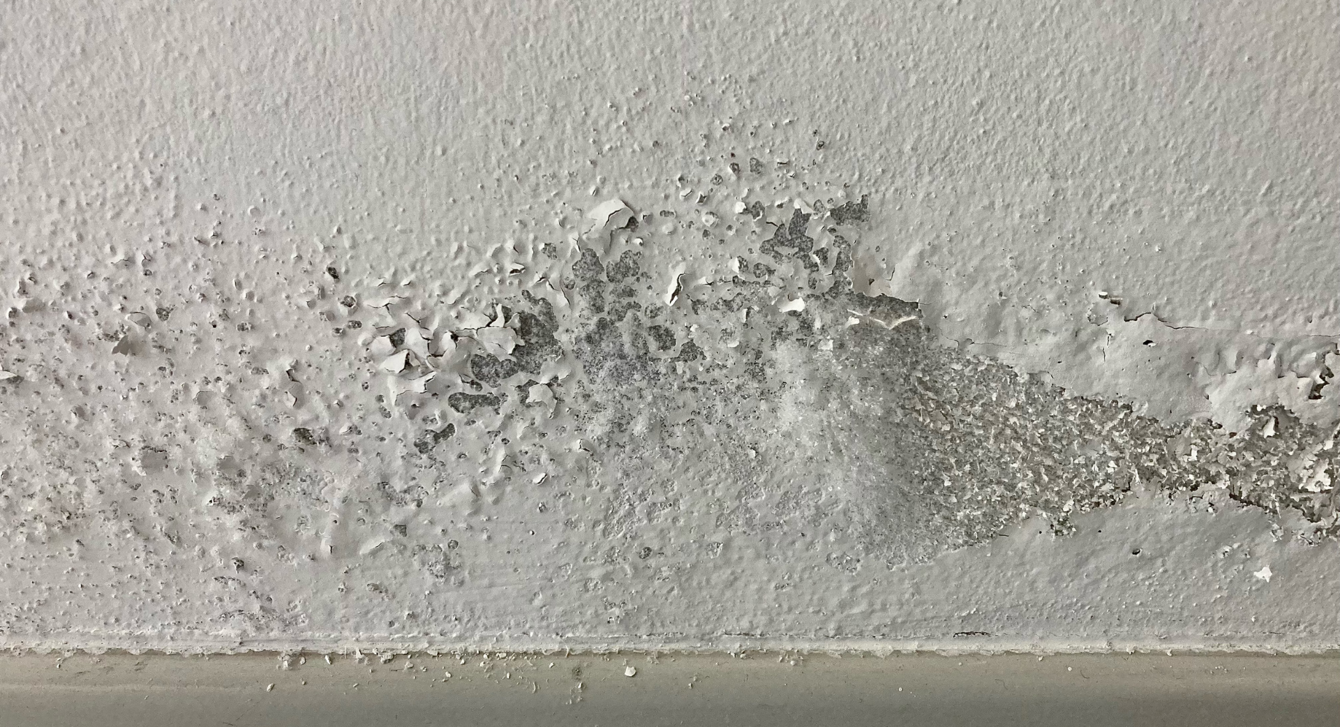 Peinture blanche écaillée sur un mur, probablement due à des dégâts causés par l'humidité.