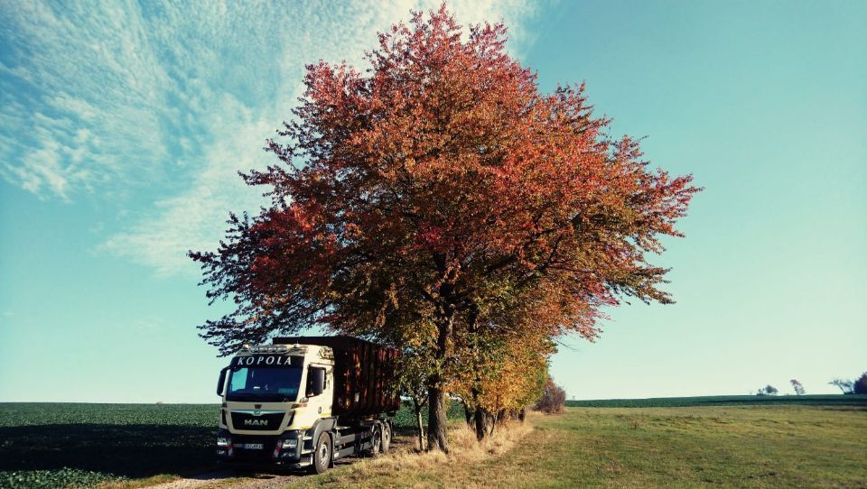 Referenzbild des Furhparks von KOPOLA-GmbH Ullmann