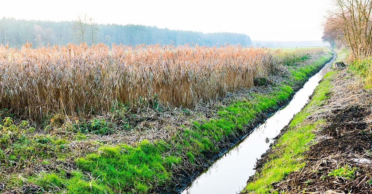 Rigole d'évacuation d'eau