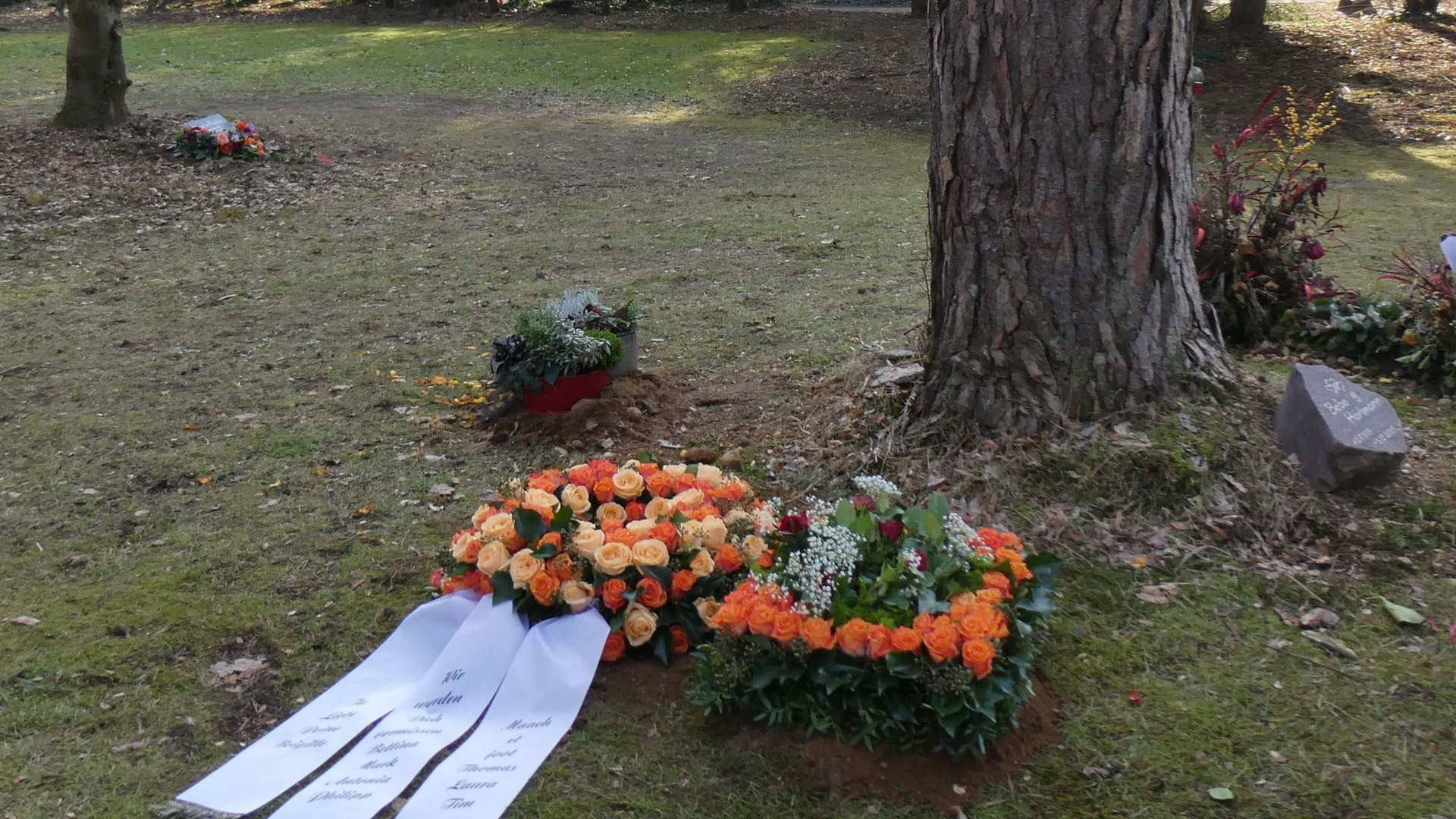 Ein orangefarbener und weißer Blumenkranz schmückt ein Grab neben einem Baum. Auf dem Rasen liegen Beileidskarten.