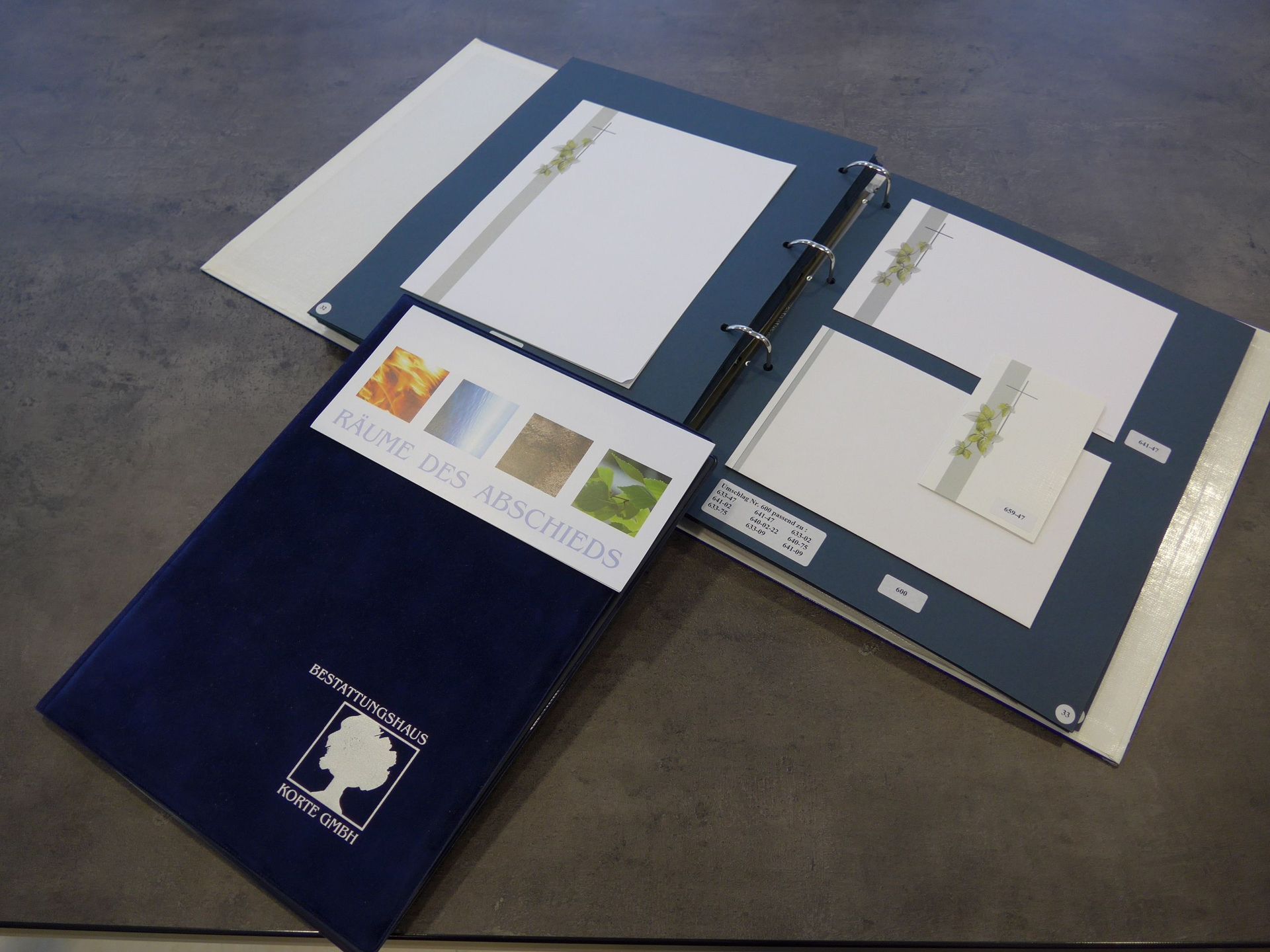 Auf einem Tisch liegt ein offener blauer Präsentationsordner mit weißen Seiten, Diagrammen und Fotos.