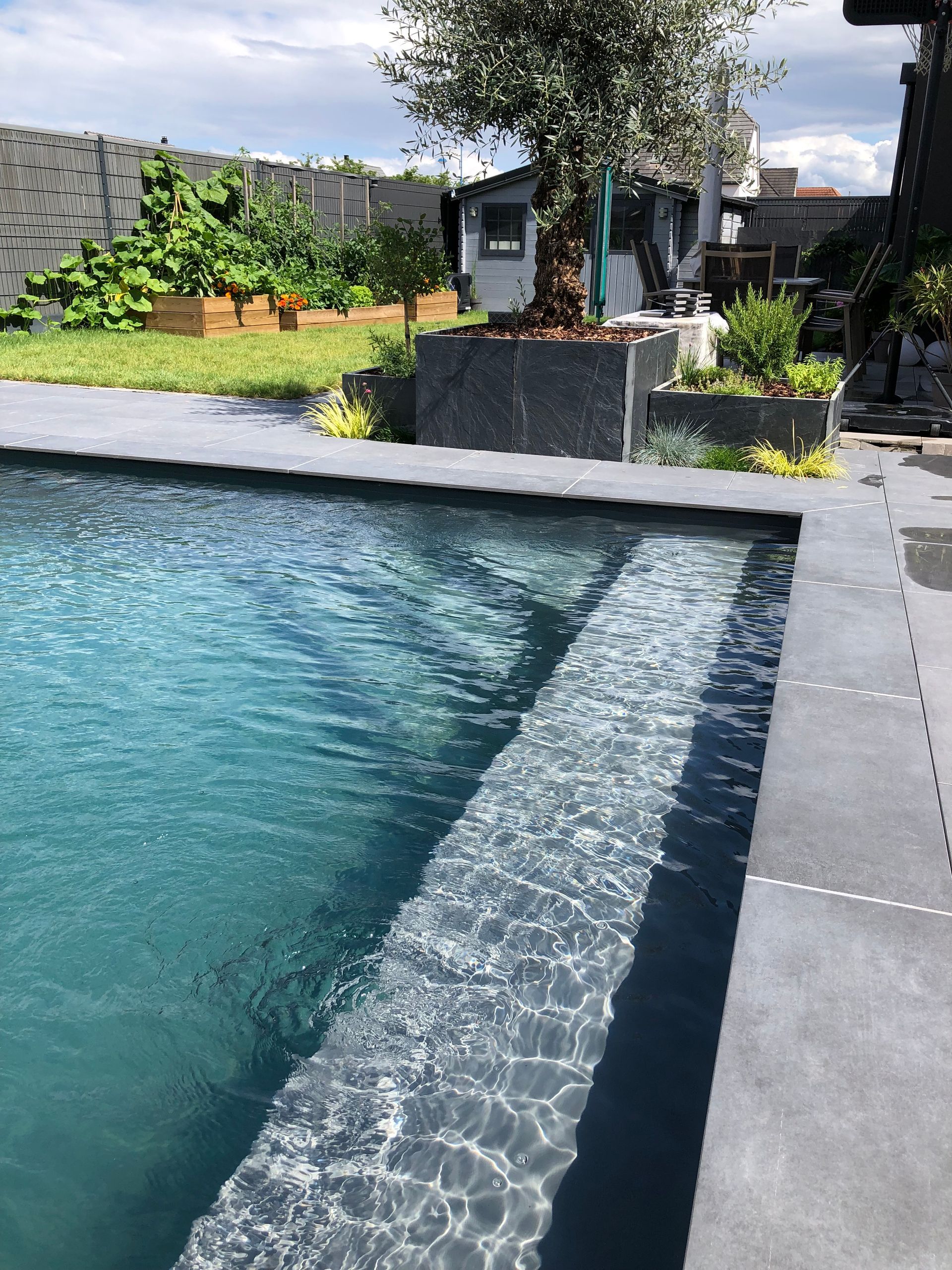 Piscine avec végétation sur les tours et eau claire.